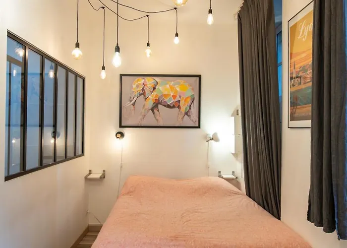 Suite Du Vieux Lyon Cosy & Calme - Le Quarantaine